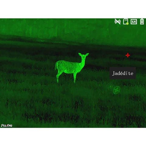 Pack Lunette / Clip-on thermique Pixfra Série Chiron - Noir DA1020