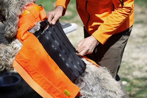 Gilet CaniHunt Protect Pro L'Original