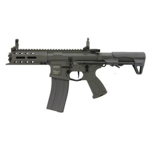 Replique Longue G&G Armament ARP 556 S13054