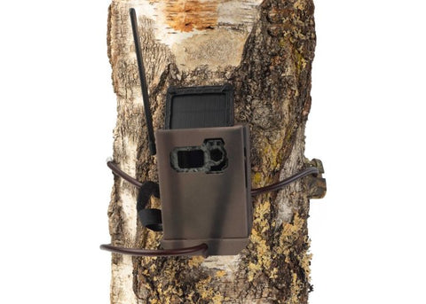 Boitier de sécurité Spypoint en métal pour Link Micro Lte & Link Micro