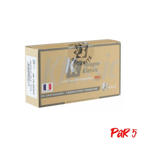Balles Sologne - Cal. 45/70 GVT BG4570P5
