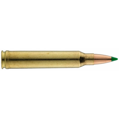 Balles Sologne Nosler Ballistic TIP - Cal. 300 Win Mag BG3000