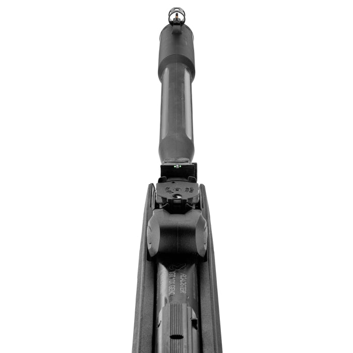 Carabine à plomb Gamo Roadster IGT 10X Gen 2 - Cal. 4.5 G1399