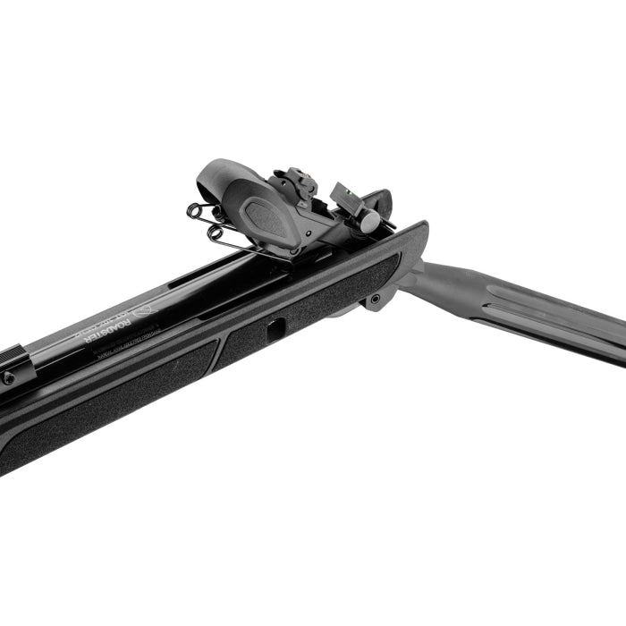 Carabine à plomb Gamo Roadster IGT 10X Gen 2 - Cal. 4.5 G1399