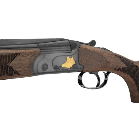 Express Fair Express Premier Traqueur DC333