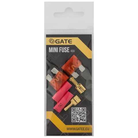 Lot de 2 mini fusibles - GATE A69487