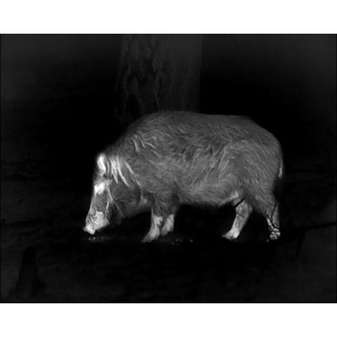 Monoculaire Lahoux Spotter 35 LAH003