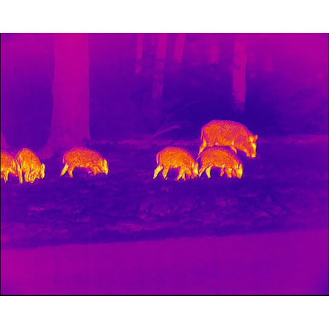 Monoculaire Lahoux Spotter 35 LAH003