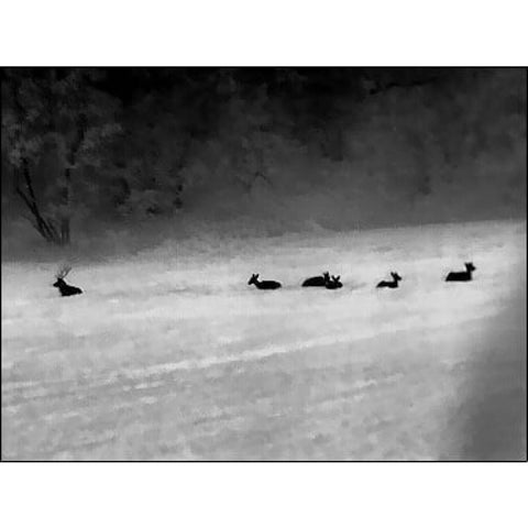 Monoculaire Lahoux Spotter Pro V 19mm LAH001