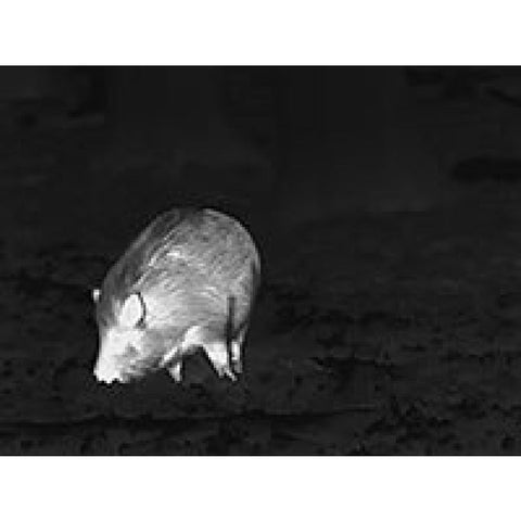 Monoculaire Thermique Lahoux Clip Thermal 35 LAH006